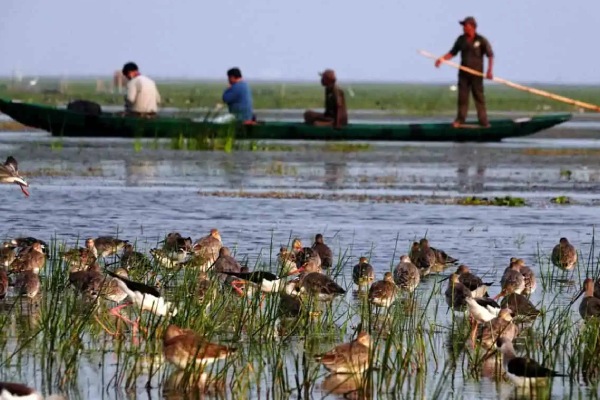 Mangalajodi Ecotourism – Where Birds, Wetlands, and Harmony Meet